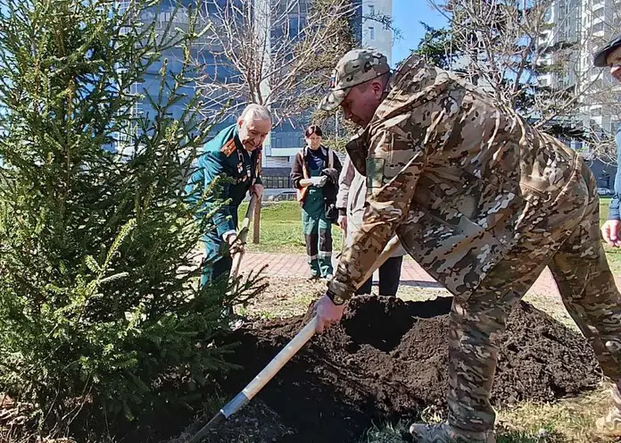 В Красноярске высадили уникальное «Дерево Победы»