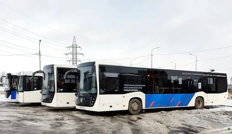 В Красноярске выделили 22 автобуса для работы во время выборов президента РФ