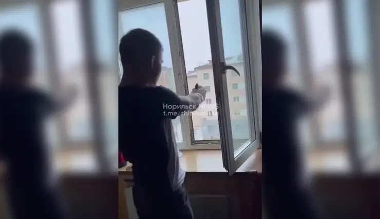 На севере Красноярского края двое приятелей устроили стрельбу из окна жилого дома