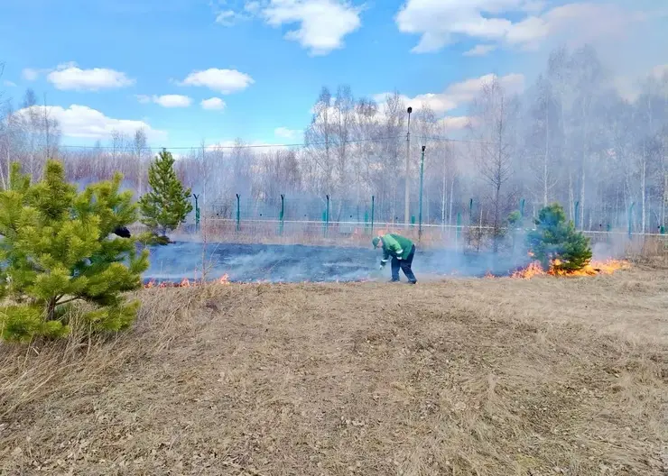 В красноярском Татышев-парке специально устроили пожар