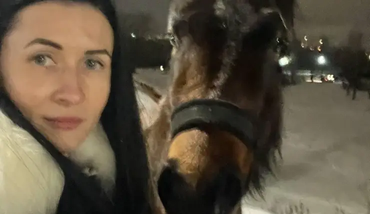В Красноярске сотрудник полиции спасла сбежавшую лошадь на Октябрьском мосту