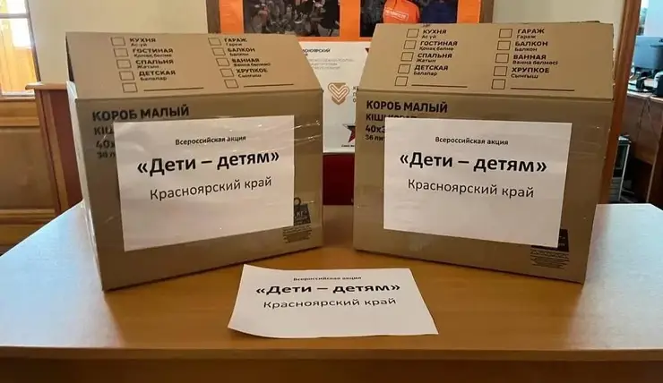 В Красноярске проходит сбор книг для детей из ДНР и ЛНР