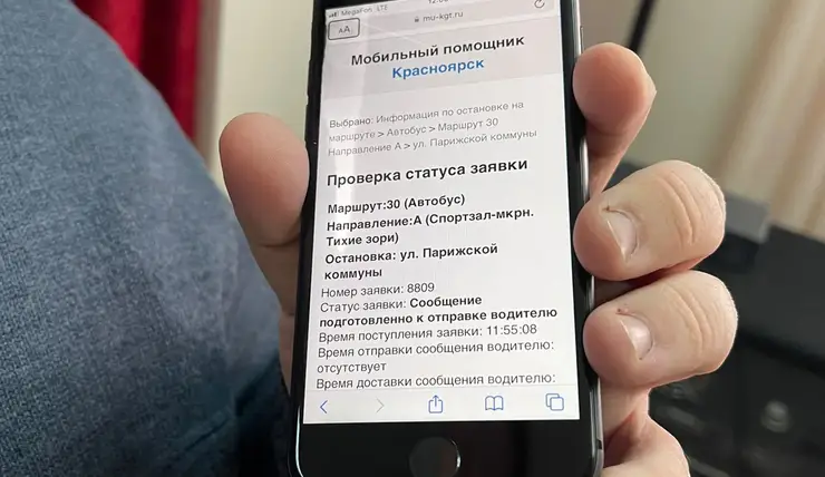 В Красноярске для пассажиров с ограничениями здоровья работает «Мобильный помощник»