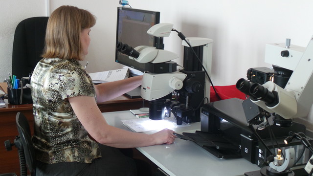 Электронный микроскоп для определения подлинности купюр или документов