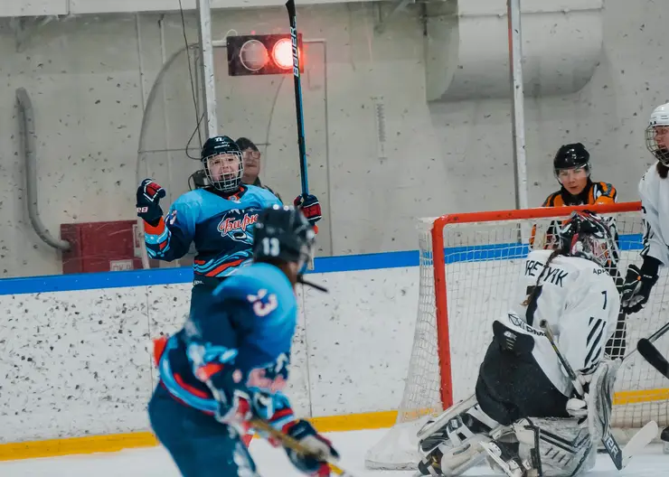 Красноярская женская команда «Бирюса» поборется за кубок Женской хоккейной лиги