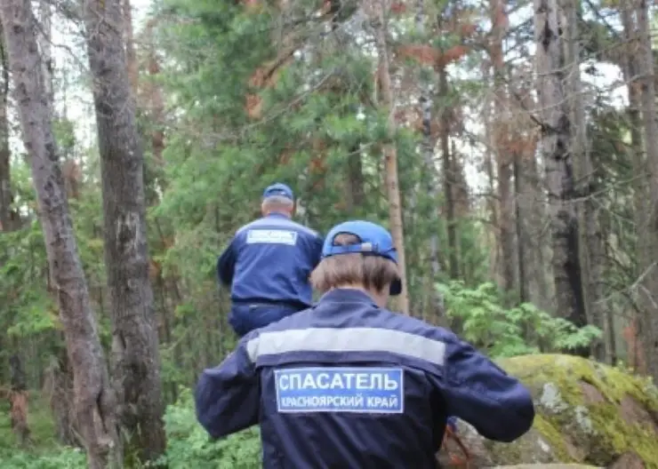 Участников пропавшей экспедиции нашли в Томской области