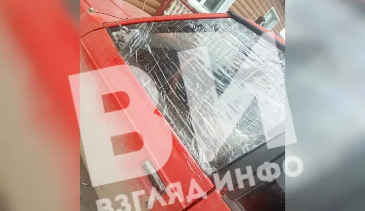 В Красноярском крае медведь напал на автомобиль