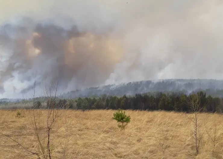 В Красноярском крае за сутки ликвидировано 24 пожара