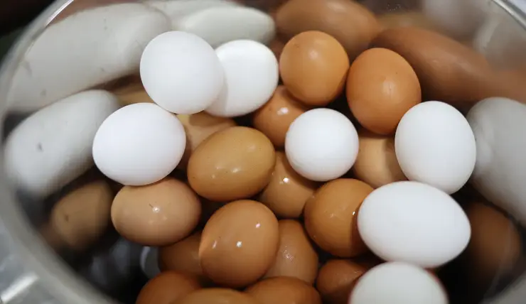 Красноярцам рассказали о гигиене куриных яиц и их приготовлении