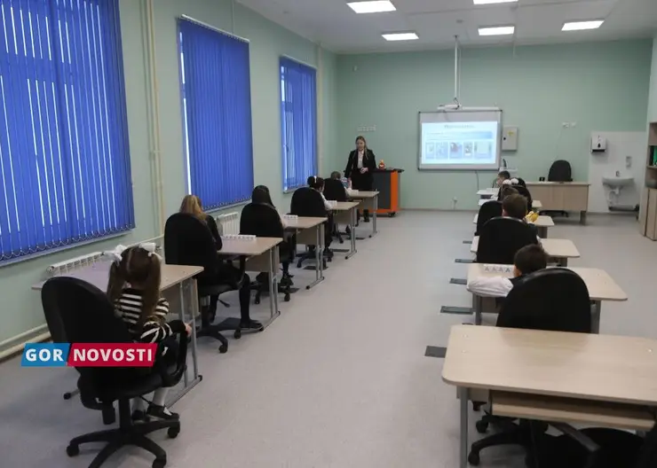 В Красноярске 31 марта начнется запись детей в первый класс