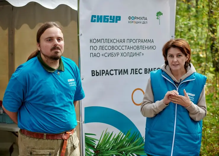 В Красноярске высадили более 1 800 молодых деревьев