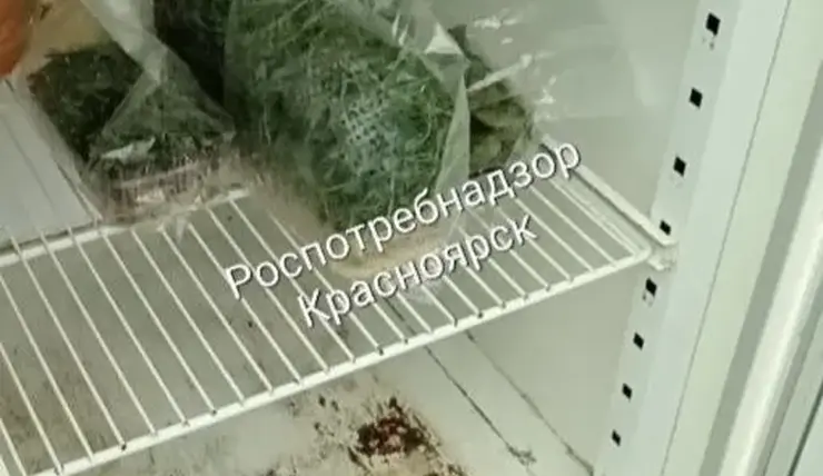 Красноярская служба доставки еды заплатит штраф за нарушения санитарных требований
