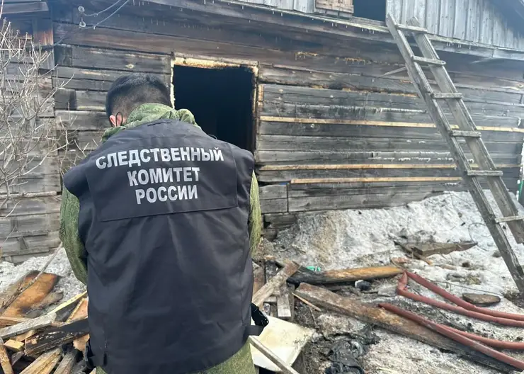 В Красноярском крае годовалый ребенок погиб при пожаре в частном доме