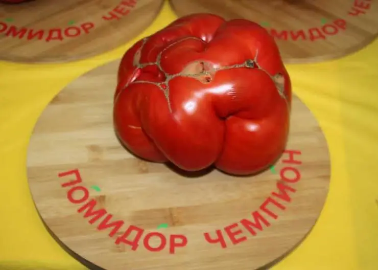 В Минусинске 20 августа выберут самый большой помидор