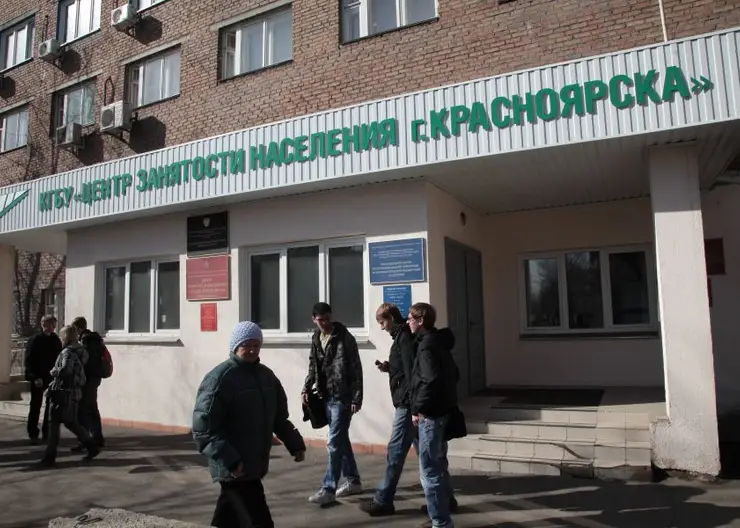Для работодателей Красноярска открыли горячую линию