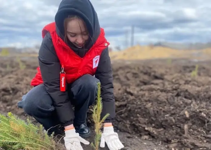 Жители Красноярского края высаживают деревья в память о героях войны