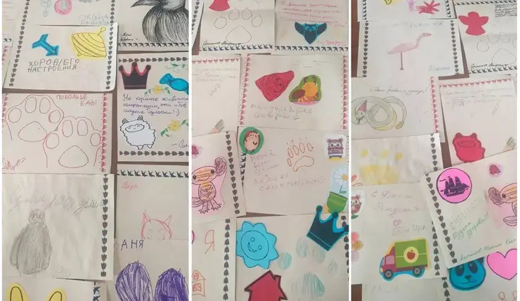 В красноярском «Роевом ручье» показали открытки, которые подарили горожане на День рождения зоопарка