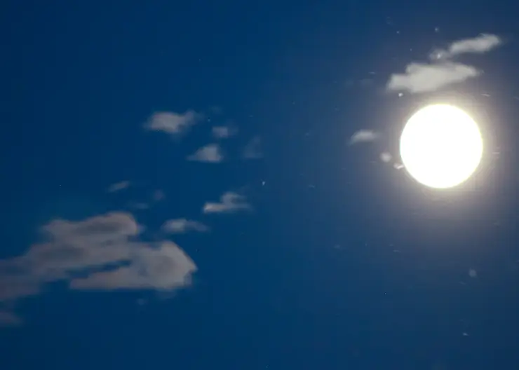 Красноярцы в ночь на 12 августа смогут наблюдать звездопад