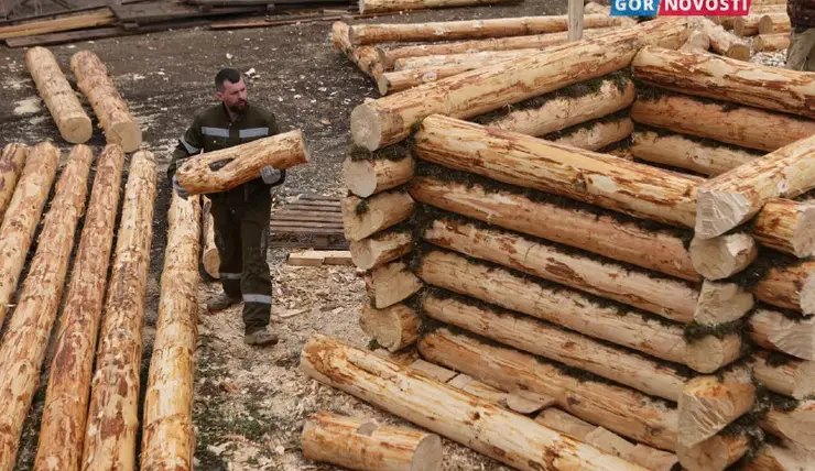 В Красноярске в «Роевом ручье» рядом с вольером белых медведей строят зимовье русских мореходов