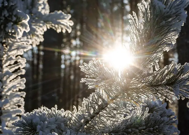 Последняя неделя января в Красноярске будет холодной и снежной
