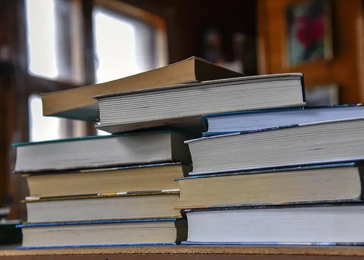 Красноярцев просят поделиться книгами для библиотеки "Роева ручья"