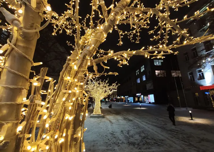На Дзержинского в Красноярске установили 10 световых деревьев