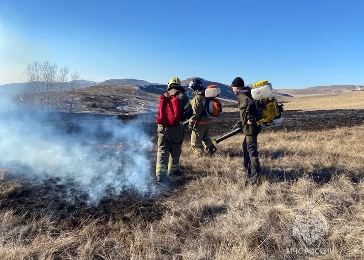 В Красноярском крае к ответственности привлекли 39 поджигателей сухой травы