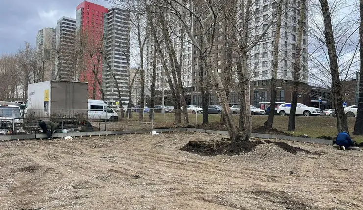 В Красноярске благоустраивают площадку для выгула собак на улице 78-й Добровольческой Бригады