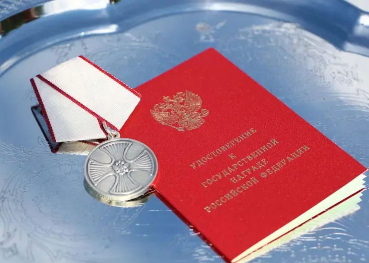 В Красноярском крае двое водителей скорой получили медали за спасение детей