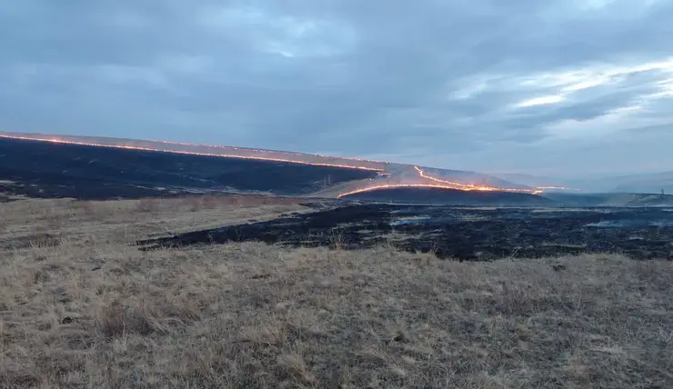 В Красноярском крае спасатели потушили горящее поле на площади 100 гектаров