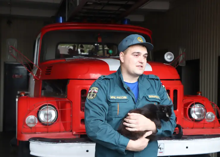 В Красноярске в пожарной части живет кошка-психолог