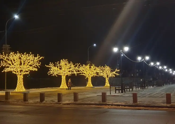 В Красноярске к 28 февраля уберут светящиеся деревья