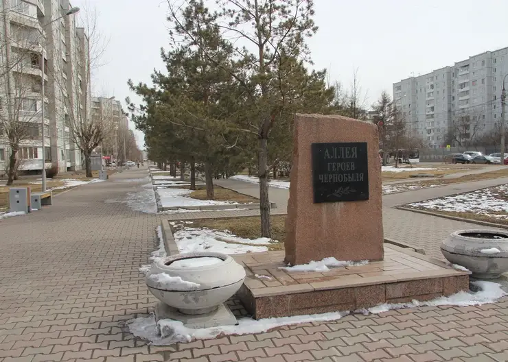 В Красноярске более 19 тысяч жителей Советского района проголосовали за благоустройство объектов