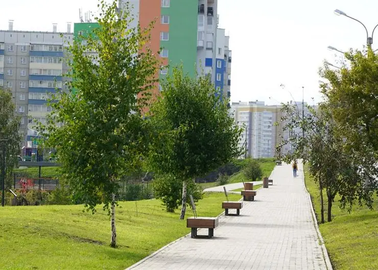 В Красноярске лидером голосования за благоустройство стал сквер на улице Борисевича