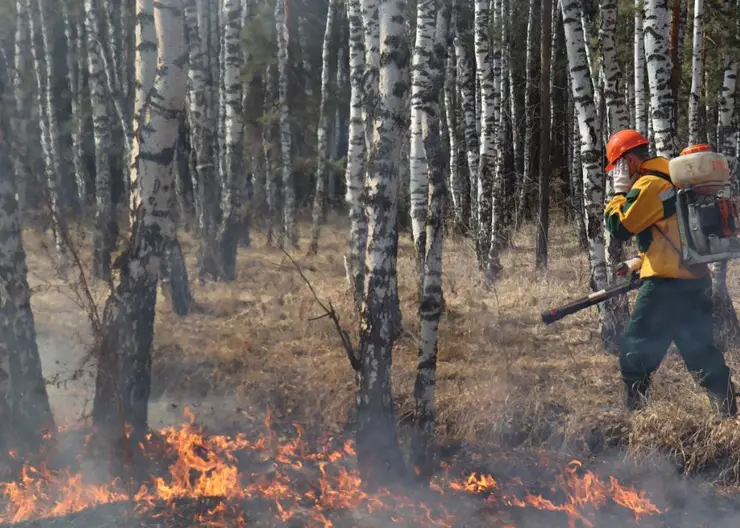 В Красноярске и трех районах края есть большая вероятность возгорания сухой травы