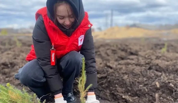 Жители Красноярского края высаживают деревья в память о героях войны