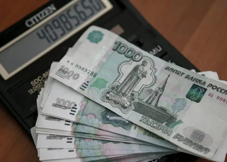 В Красноярском крае изменили сроки получения ежемесячной выплаты для многодетных семей