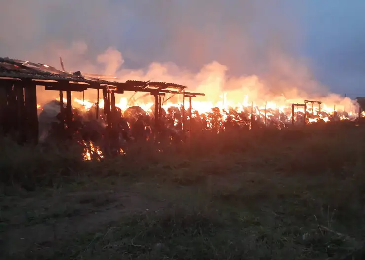В Красноярском крае из-за поджога сгорело здание с тюками сена