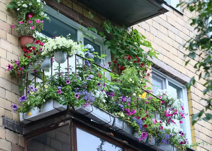 В Железнодорожном районе Красноярска выбрали самый красивый балкон