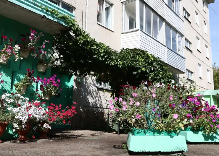 В Красноярске двор на Гусарова победил в конкурсе на лучшую придомовую территорию