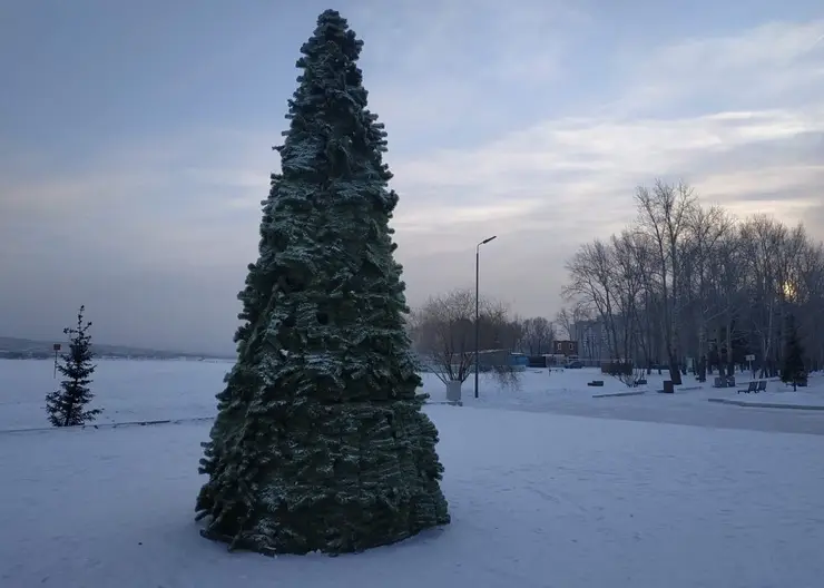 Шестиметровую елку установили в красноярском озере-парке «Октябрьский»