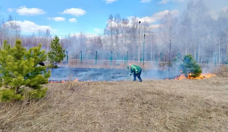В красноярском Татышев-парке специально устроили пожар