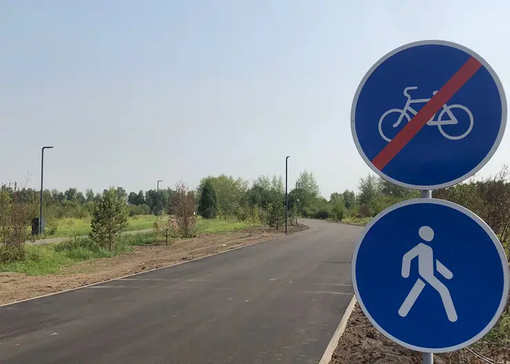 В Красноярске в Татышев-парке появилась беговая дорожка