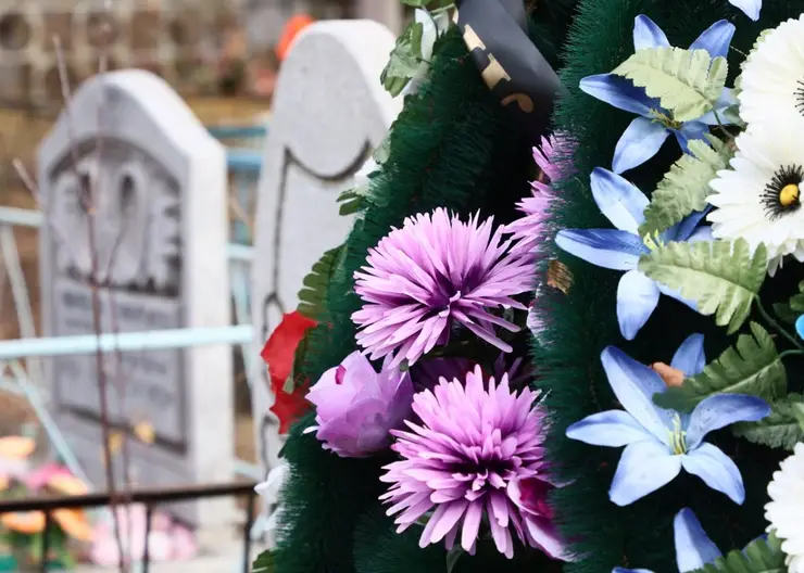 В Красноярске 12 апреля пройдет субботник на Троицком кладбище
