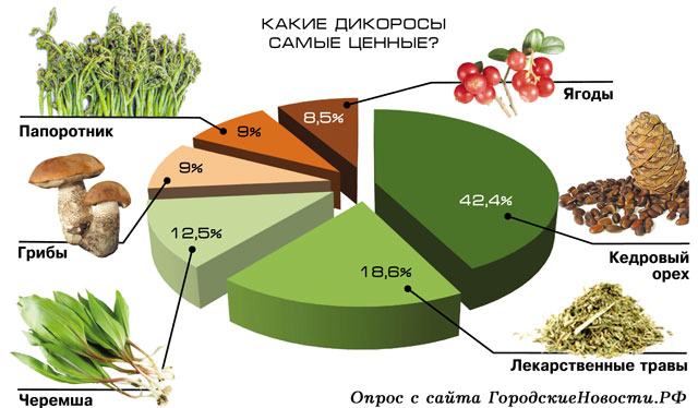 Презентация заготовка сырья дикорастущих растений